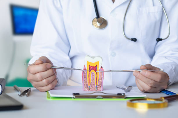 Best Emergency Dental Care for Sports Injuries in West Easton, PA